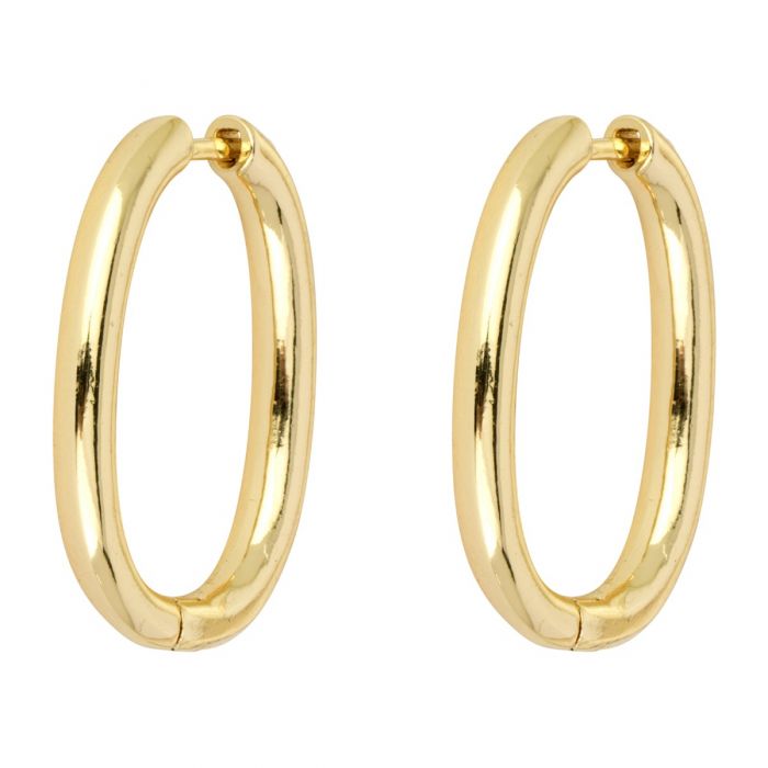 Ayliah Hoops - Gold